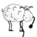 MioriticHost